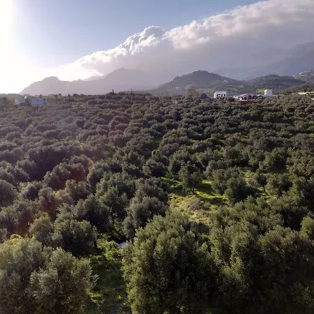 Greek Blue Plakiás